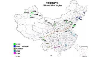 国产自产区,打造民族品牌新引擎