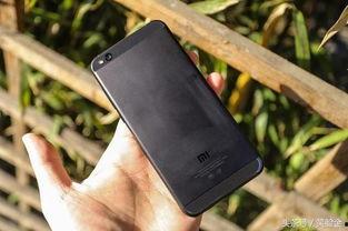 999国产,揭秘神秘国度的奇幻之旅