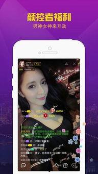 国产恋夜,浪漫邂逅，谱写青春恋曲