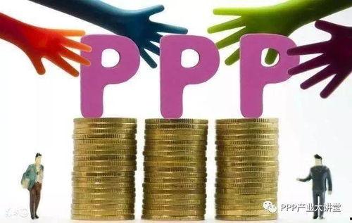 国产ppp